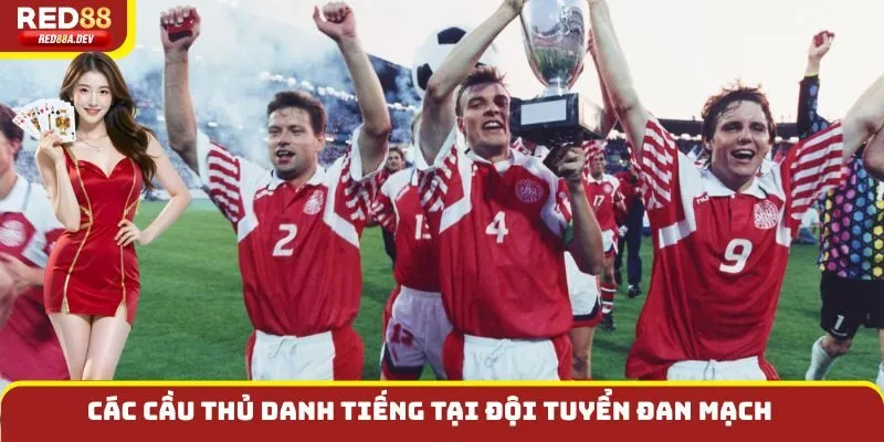 Các cầu thủ danh tiếng tại đội tuyển Đan Mạch