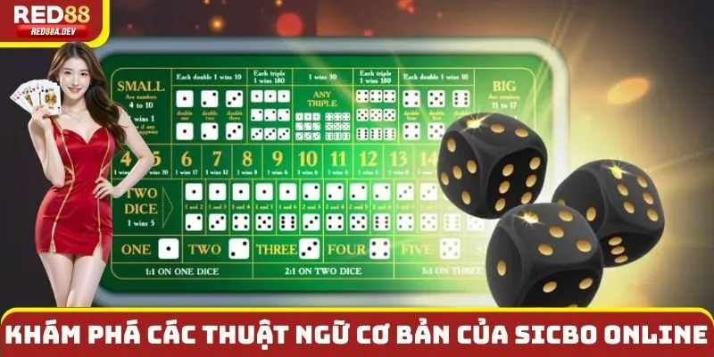 Khám phá các thuật ngữ cơ bản trong Sicbo online dành cho người mới