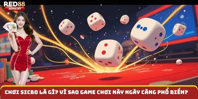 Chơi sicbo là gì? Vì sao game chơi này ngày càng phổ biến?