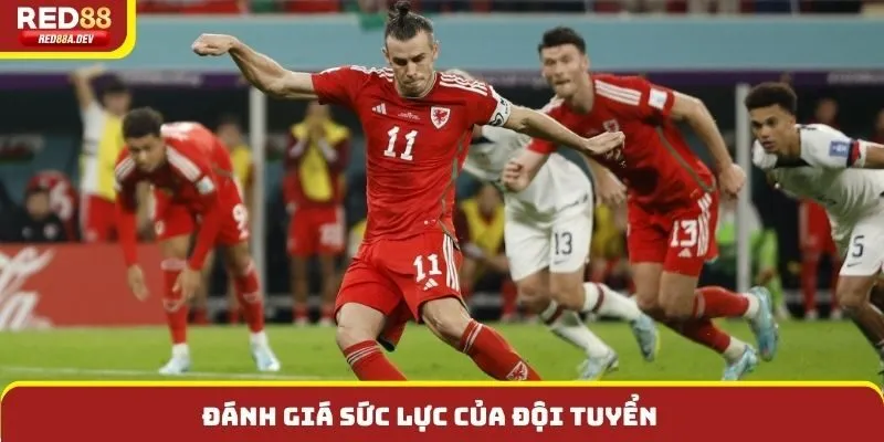 Đánh giá sức lực của đội tuyển