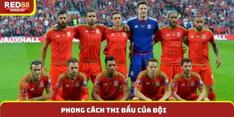 Phong cách thi đấu của đội