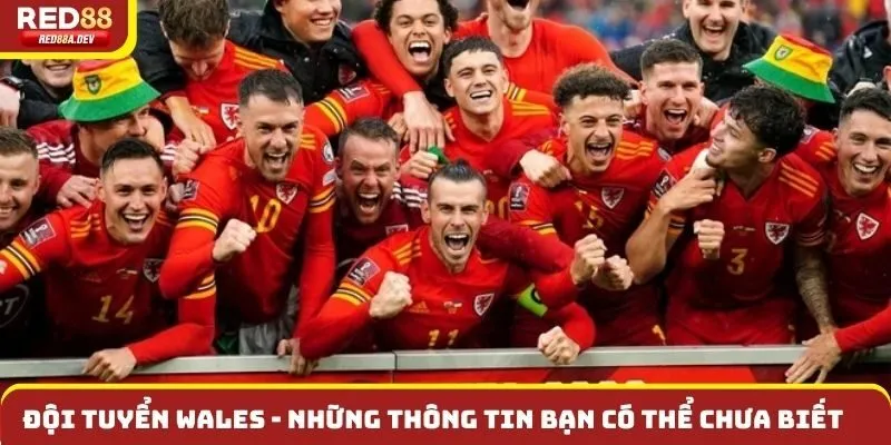 Đội Tuyển Wales