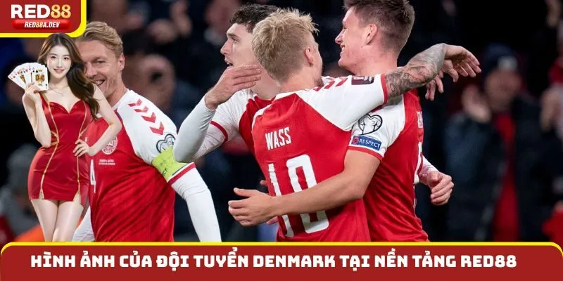 Hình ảnh của đội tuyển Denmark tại nền tảng Red88