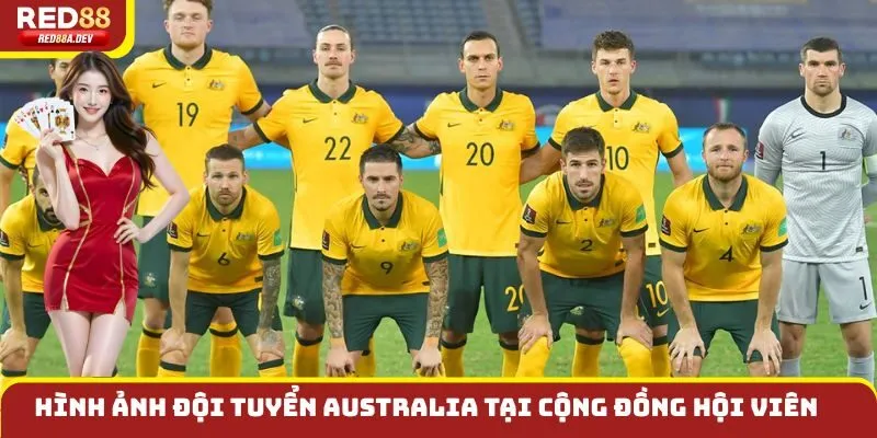 Hình ảnh đội tuyển Australia tại cộng đồng hội viên