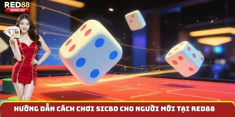 Hướng dẫn cách chơi sicbo cho người mới tại Red88