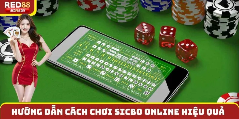 Hướng dẫn cách chơi Sicbo online hiệu quả từ chuyên gia