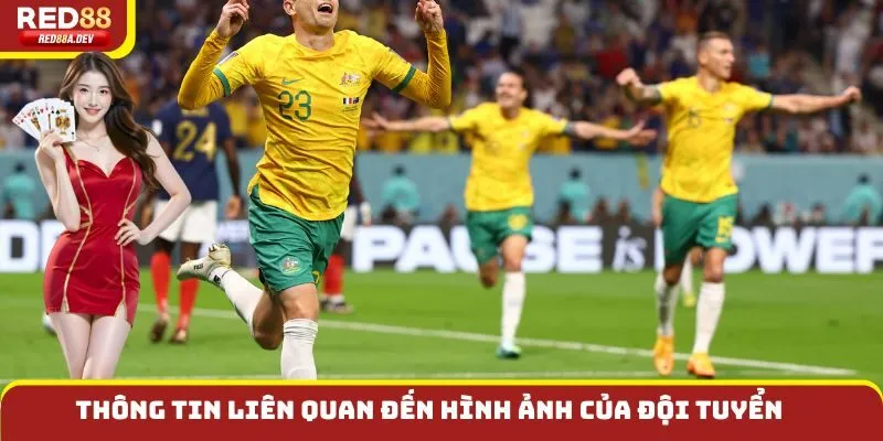 Thông tin liên quan đến hình ảnh của đội tuyển